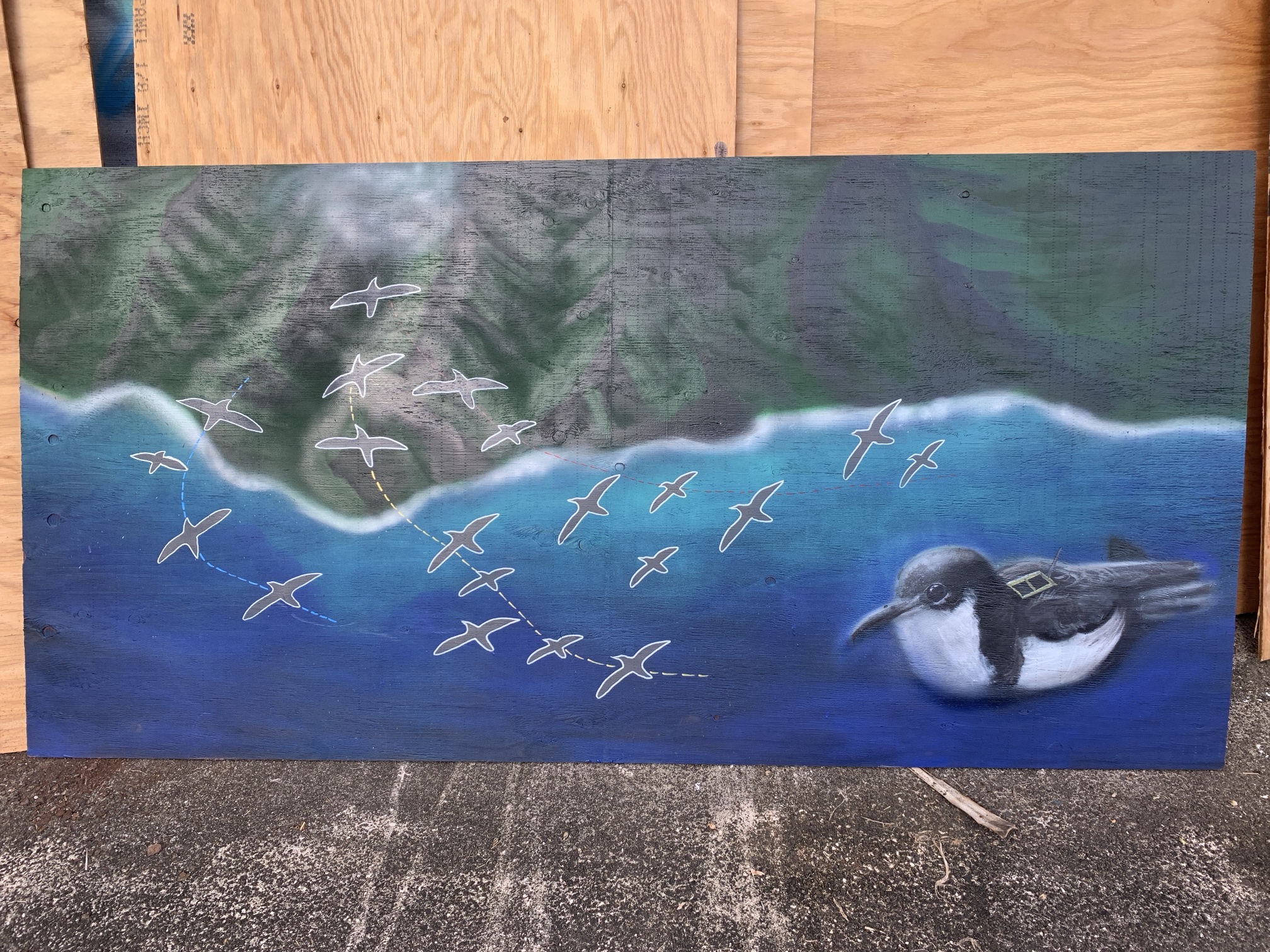 Native Birds of Kauaʻi