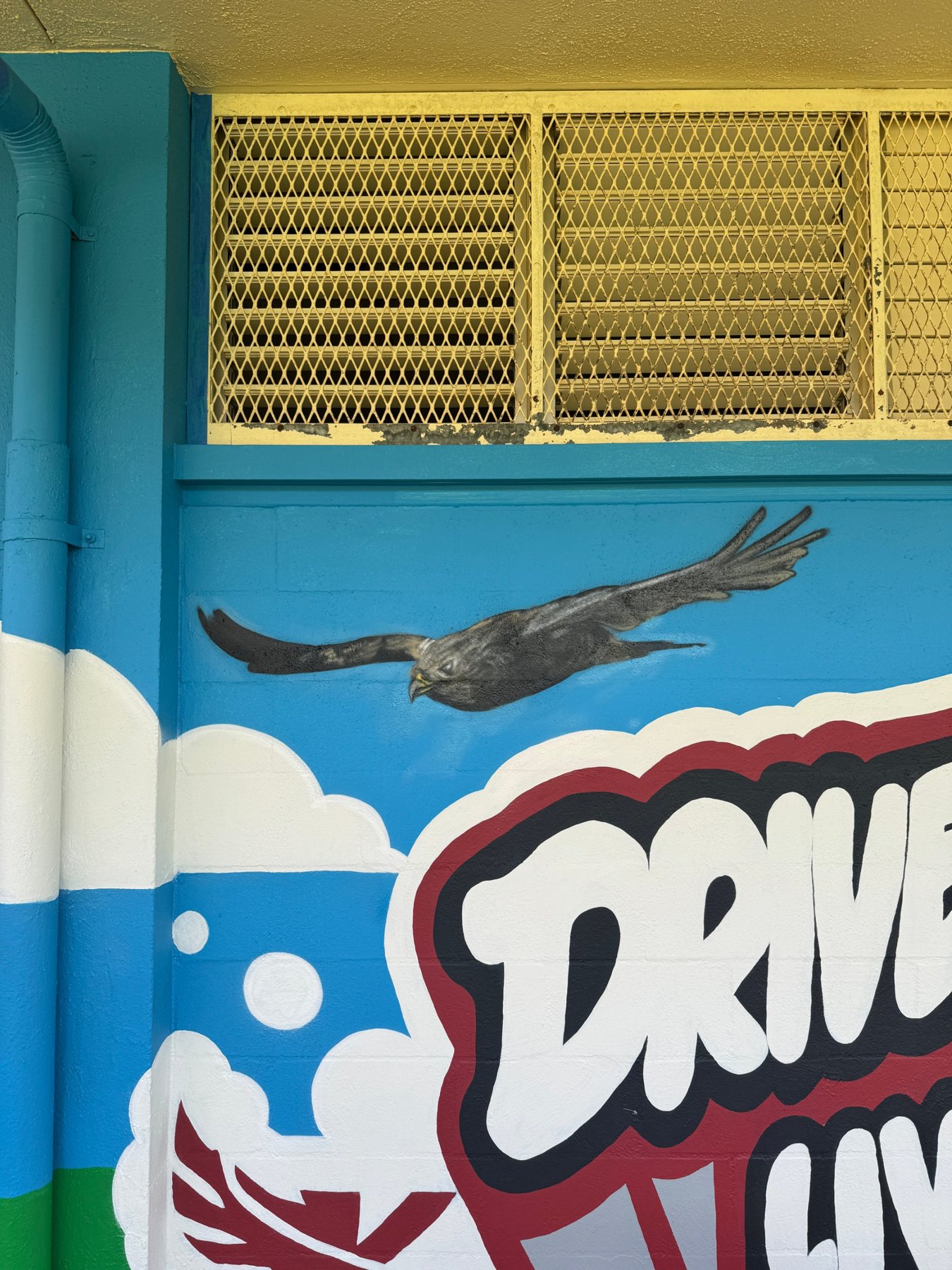 An ʻio soaring across blue sky under the eaves, above the Drive lettering