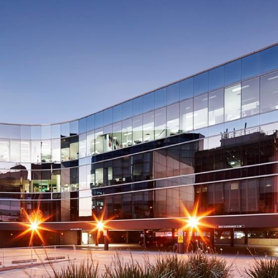 Workplace Strategy & Design