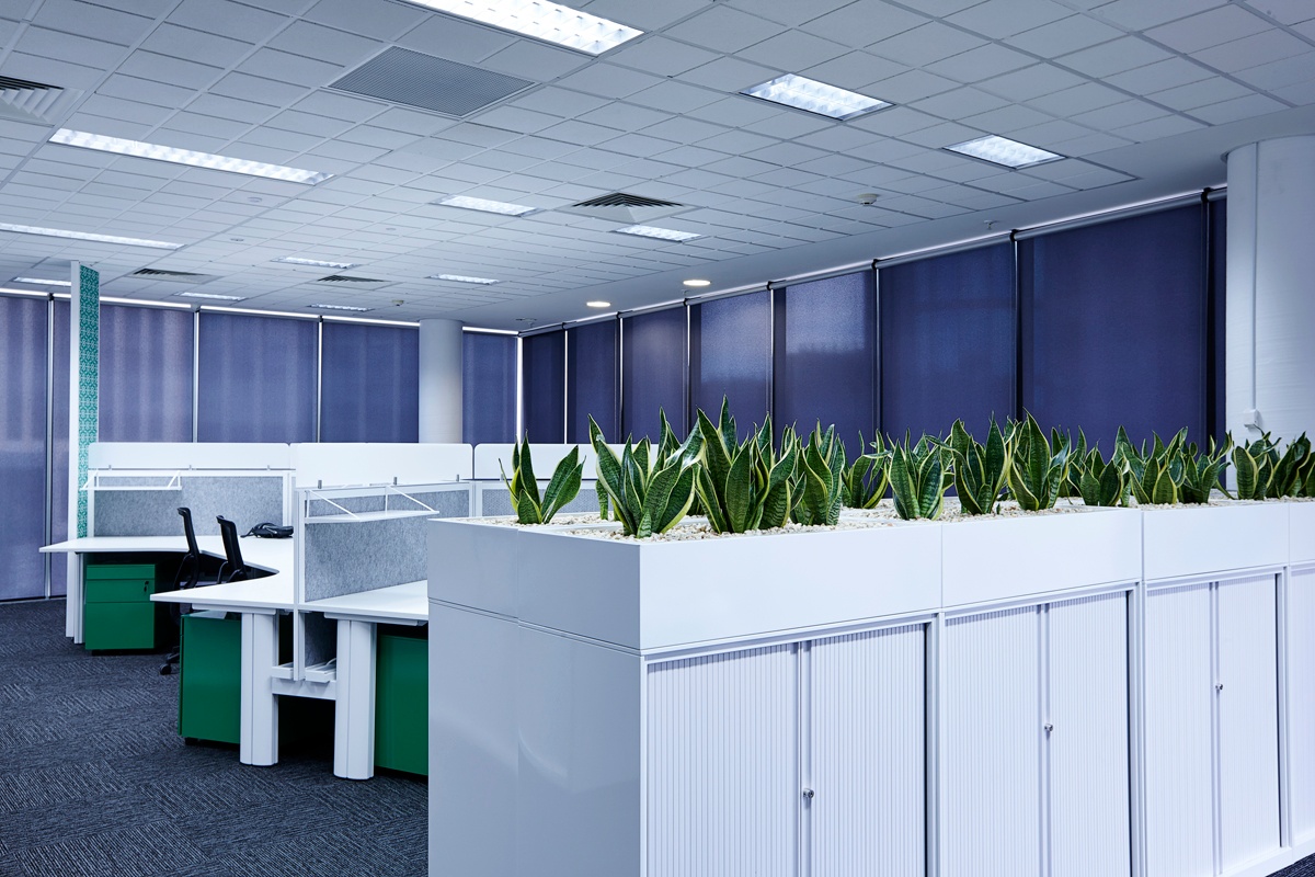 Project image 10