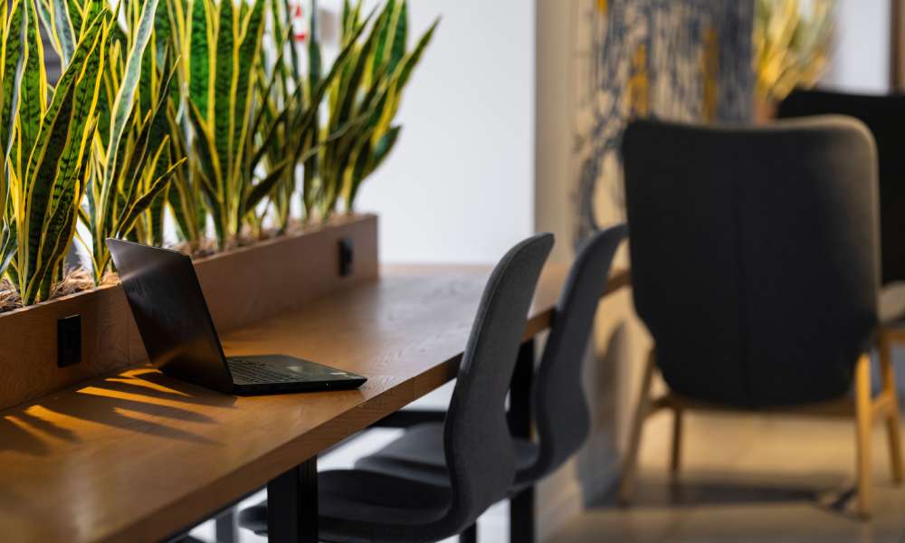 The Future of Workplace Design in 2026