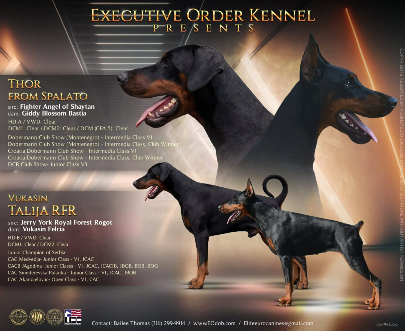 Platinum Litter - Yellow Collar Female