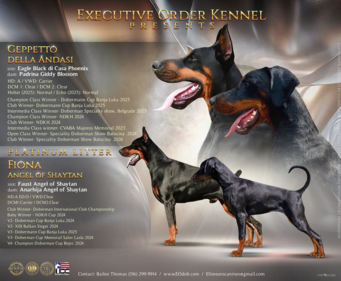 Pink Collar Female (Geppetto x Fiona)