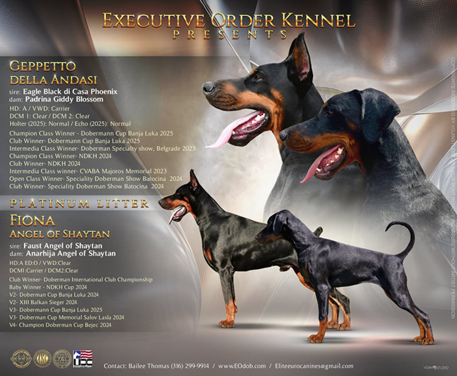 Red Collar Male (Geppetto x Fiona)