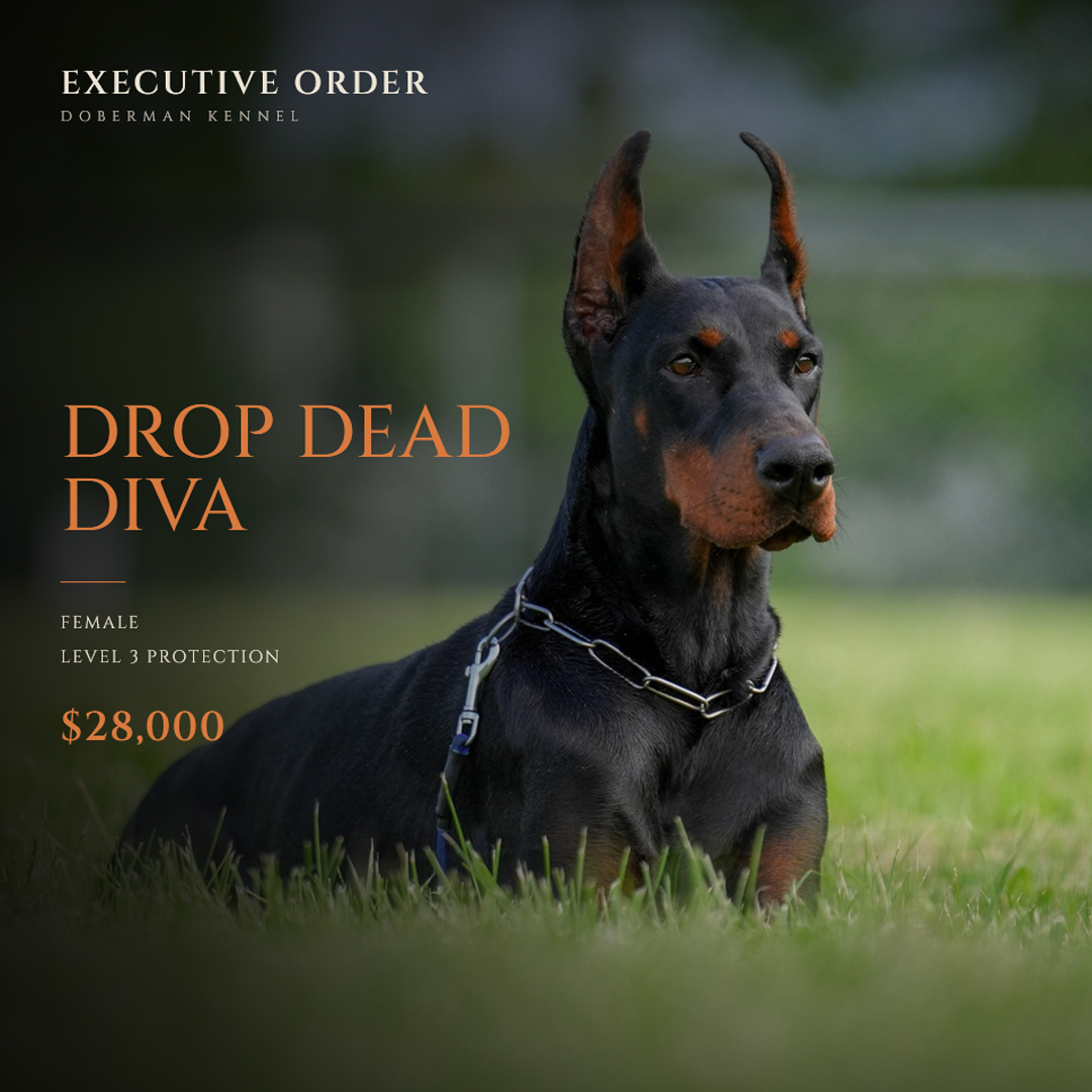Executive Order Drop Dead Diva