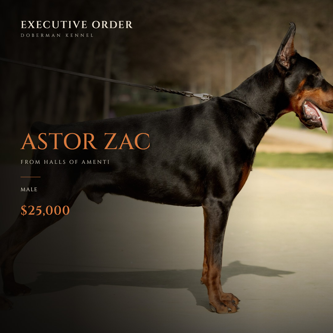 Astor Zac from Halls of Amenti