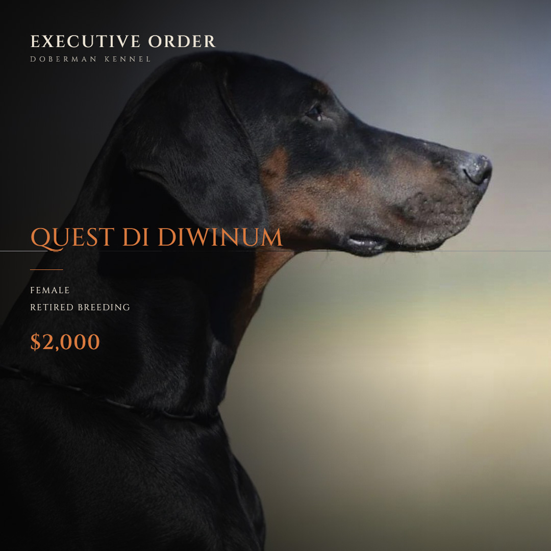 Quest Di Diwinum