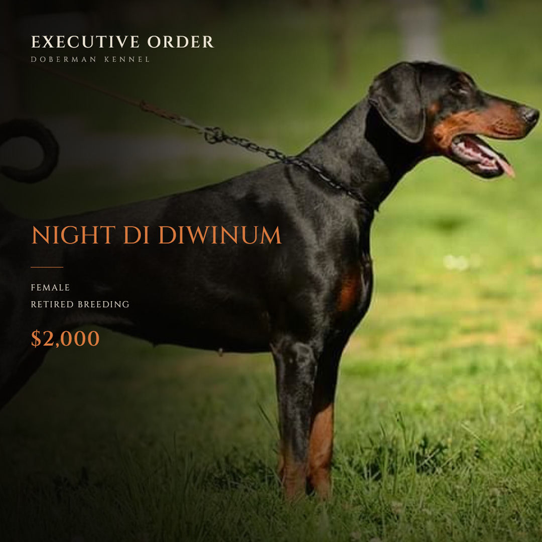 Night Di Diwinum
