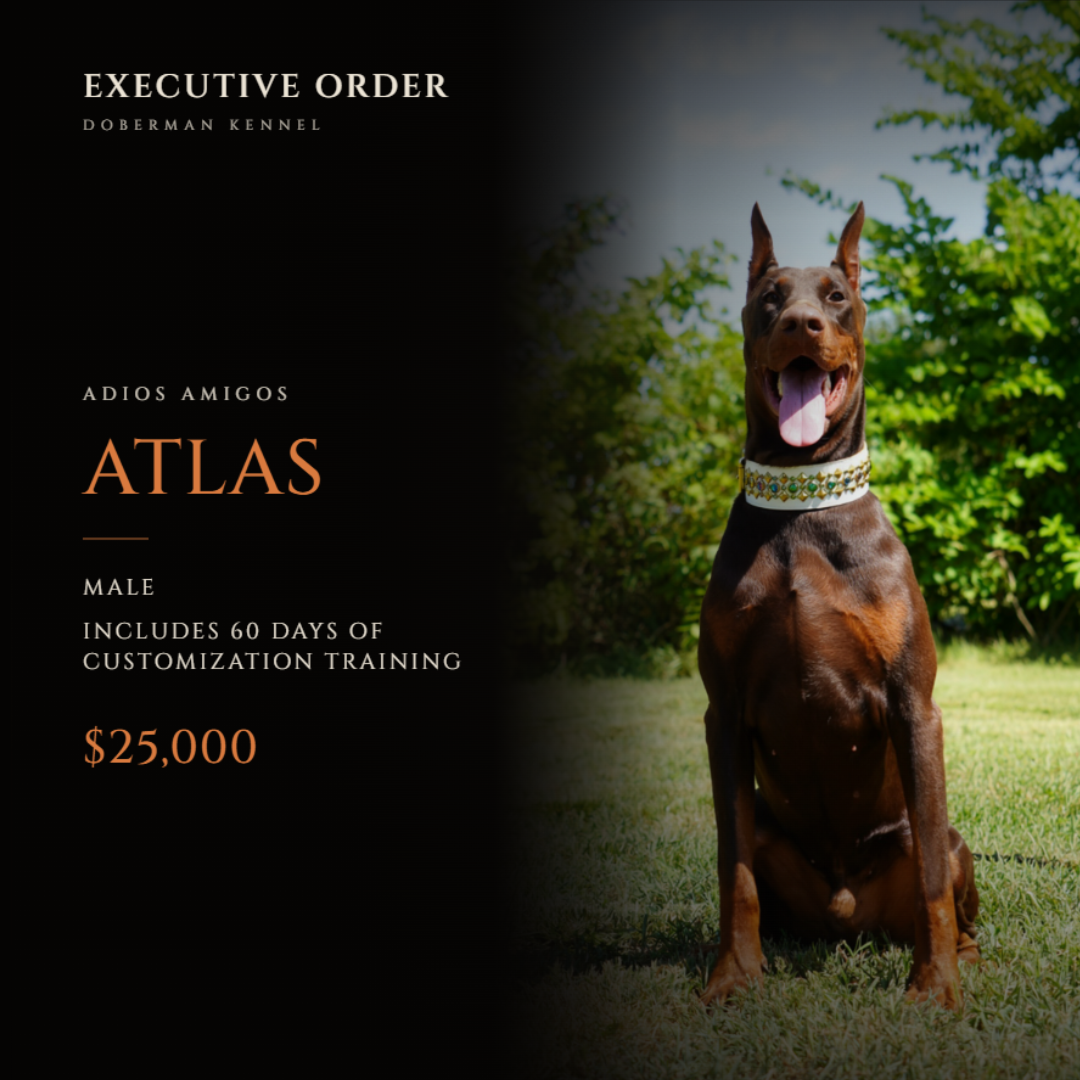 Adios Amigos “Atlas”