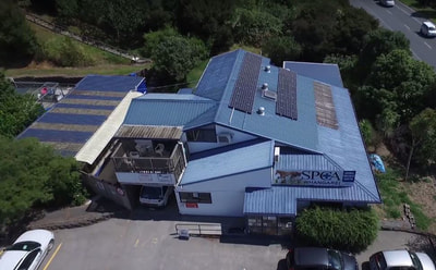 Solar panels on the roof of the Whangarei SPCA