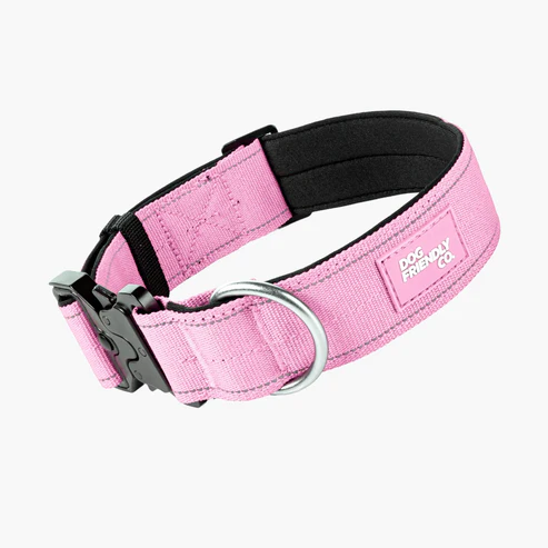 Pink Dog Collar.