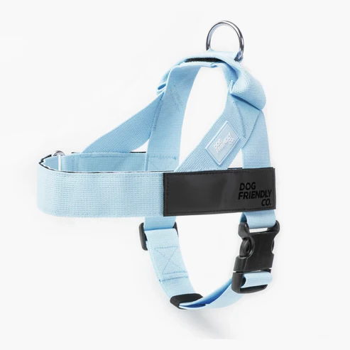 Blue Dog Harness