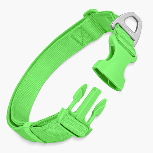 Green Dog Collar.