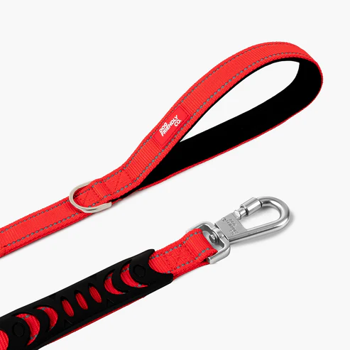Dog lead