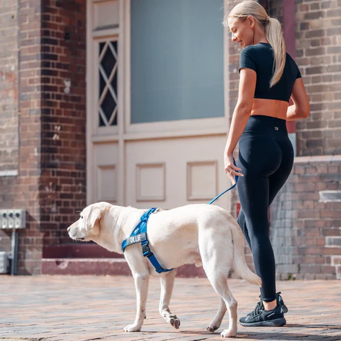 Lady walking with a dog.
