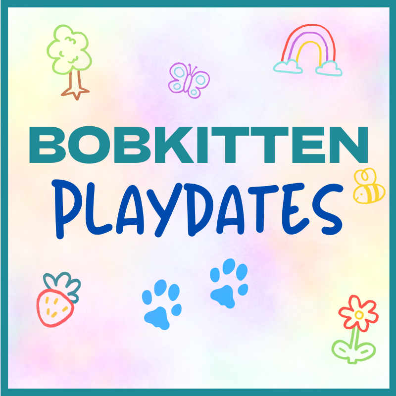 Bobkitten Playdate