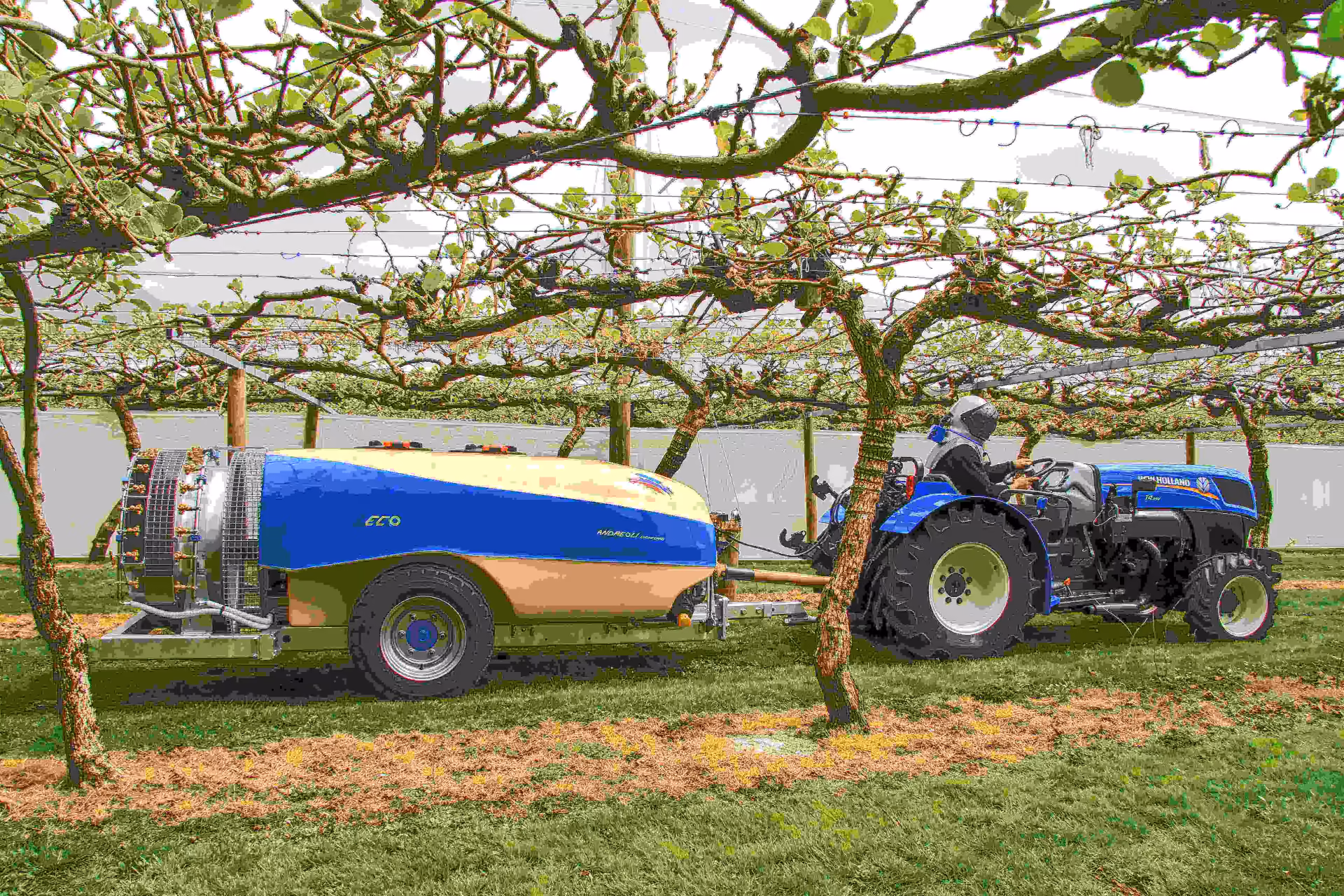 Fantini Eco 2000 trailed sprayer with a cream tank and blue band, hitched behind a blue tractor under a kiwifruit pergola.