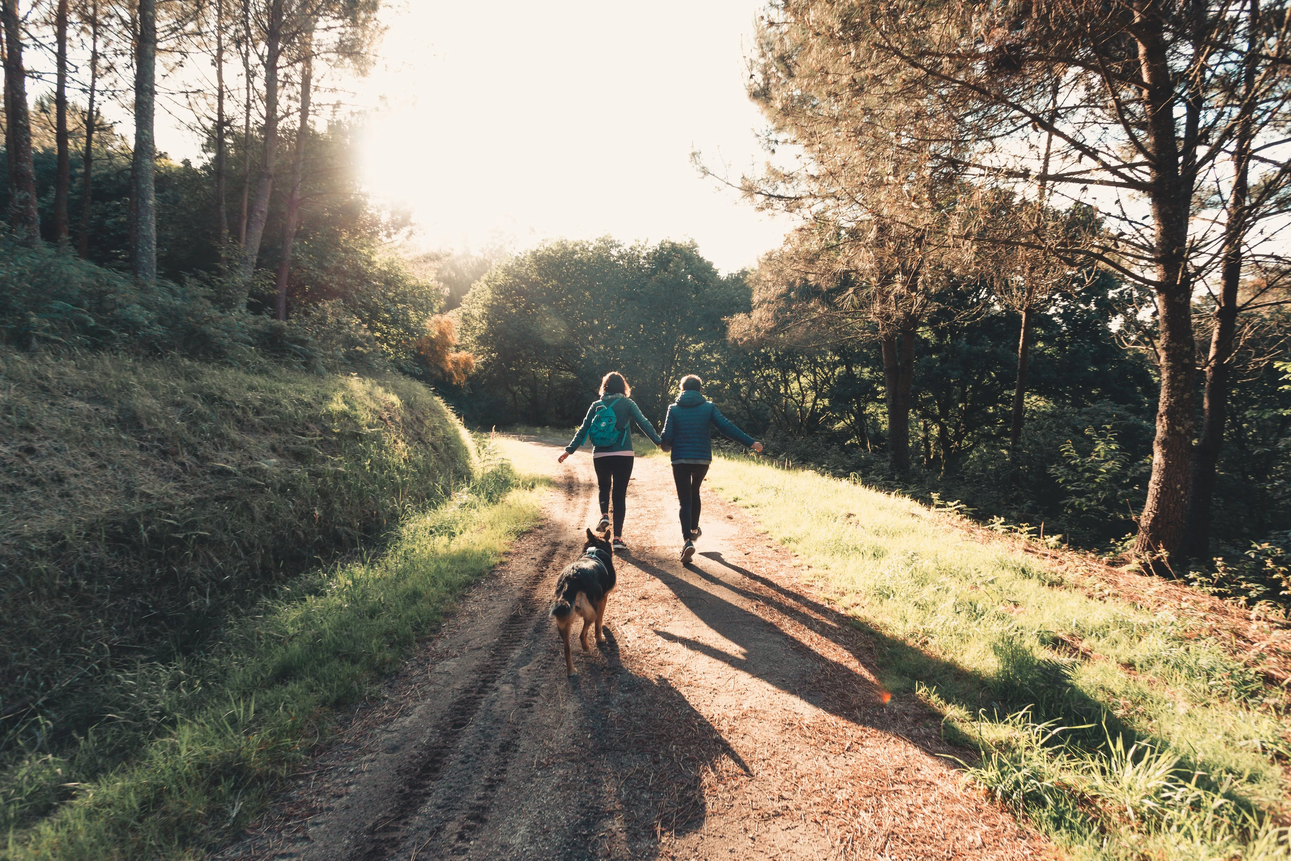 How to Avoid Probate in Arizona: 6 Practical Strategies