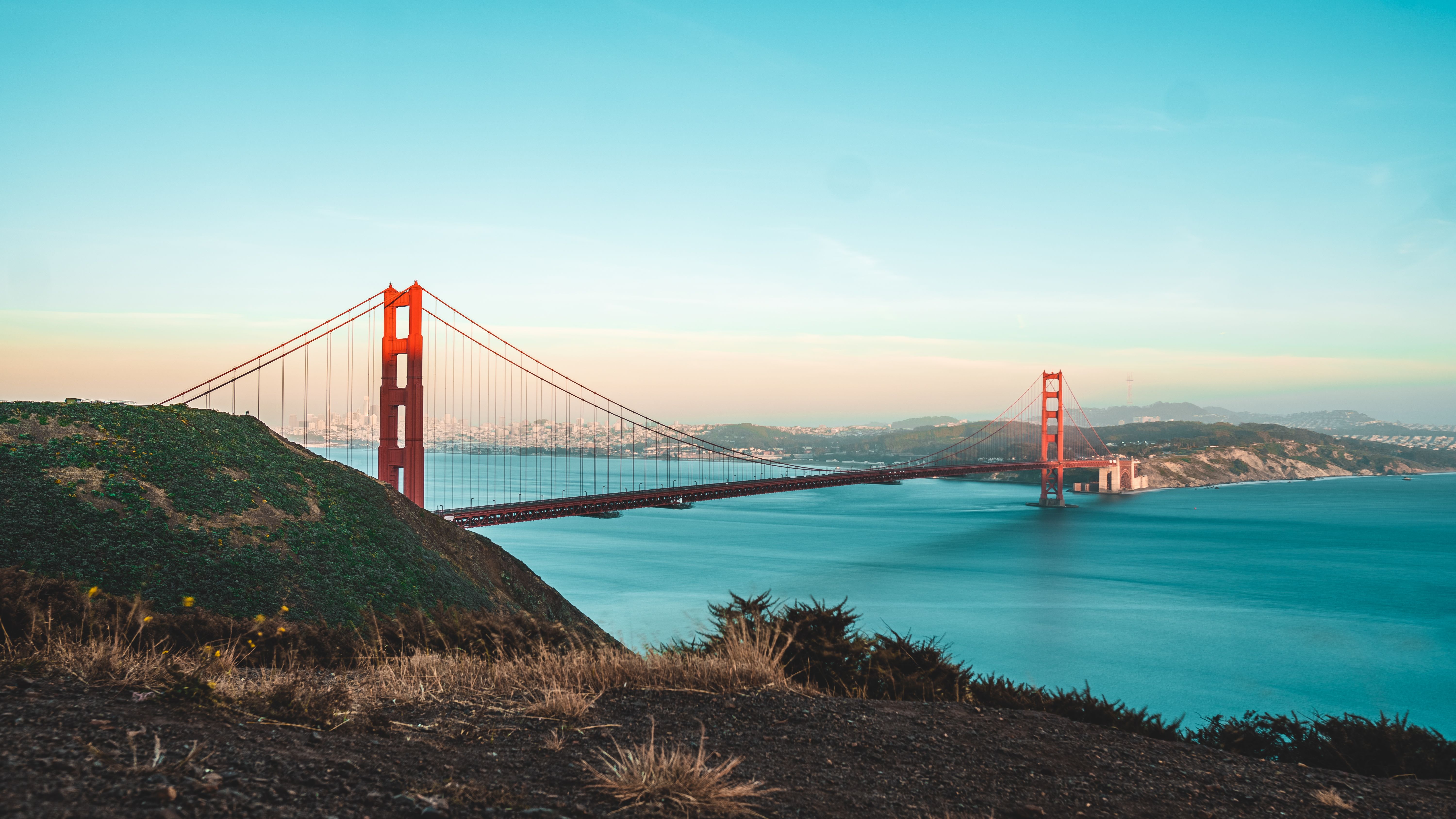 A conversation with a YC founder