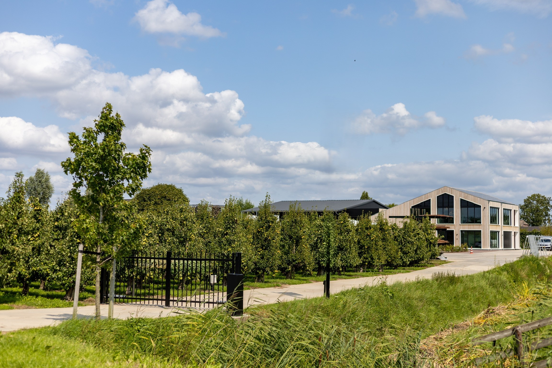 Moderne droomwoning ontworpen door BIMpressed