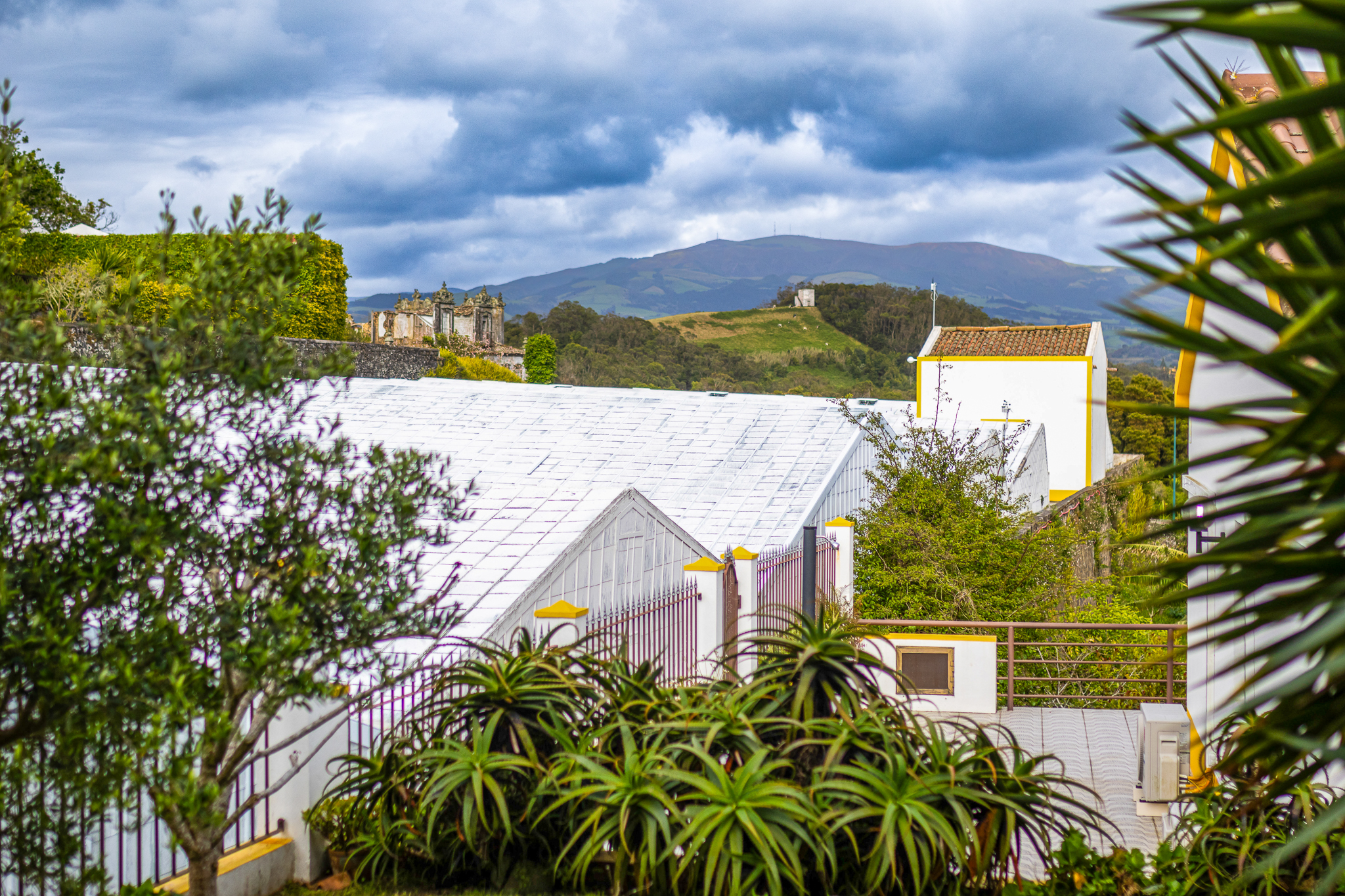 VIVA Quinta | Quinta do Ananás Pineapple Farm Azores