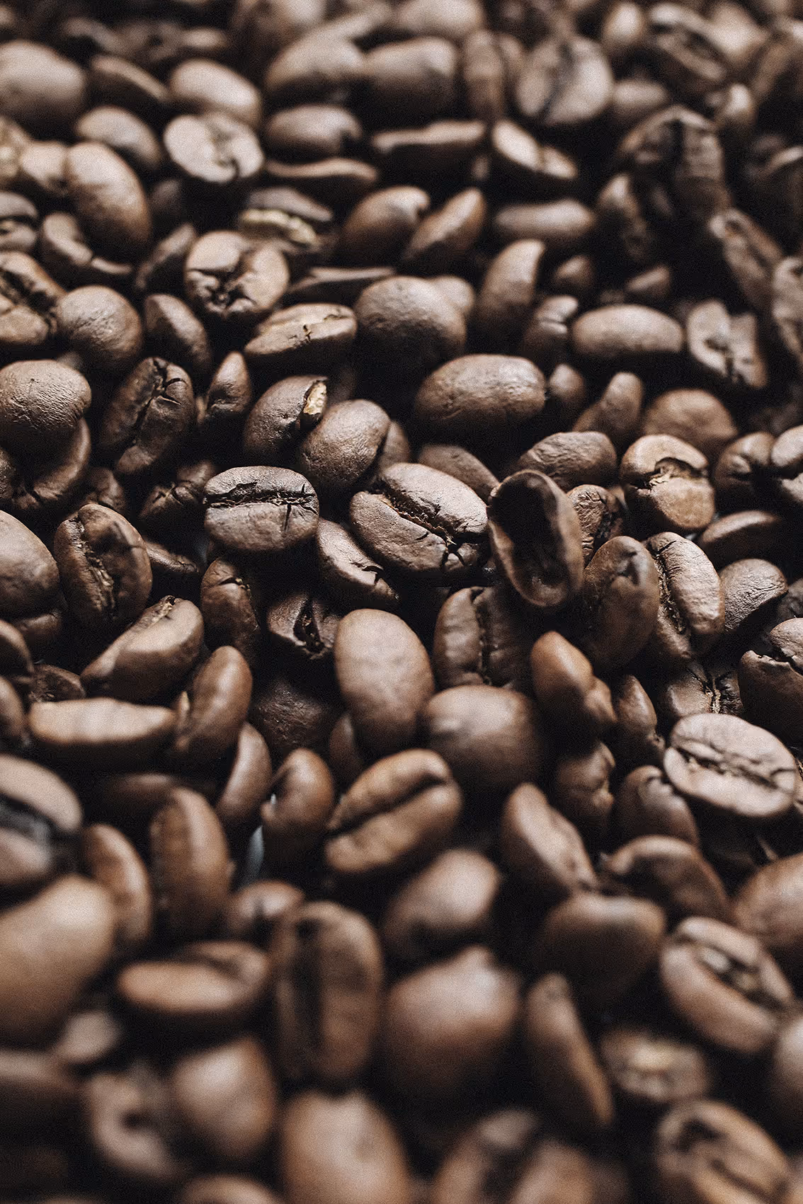 Close-up of used coffee grounds — raw material for EECOFF recycled coffee yarn fabric — circular textile innovation