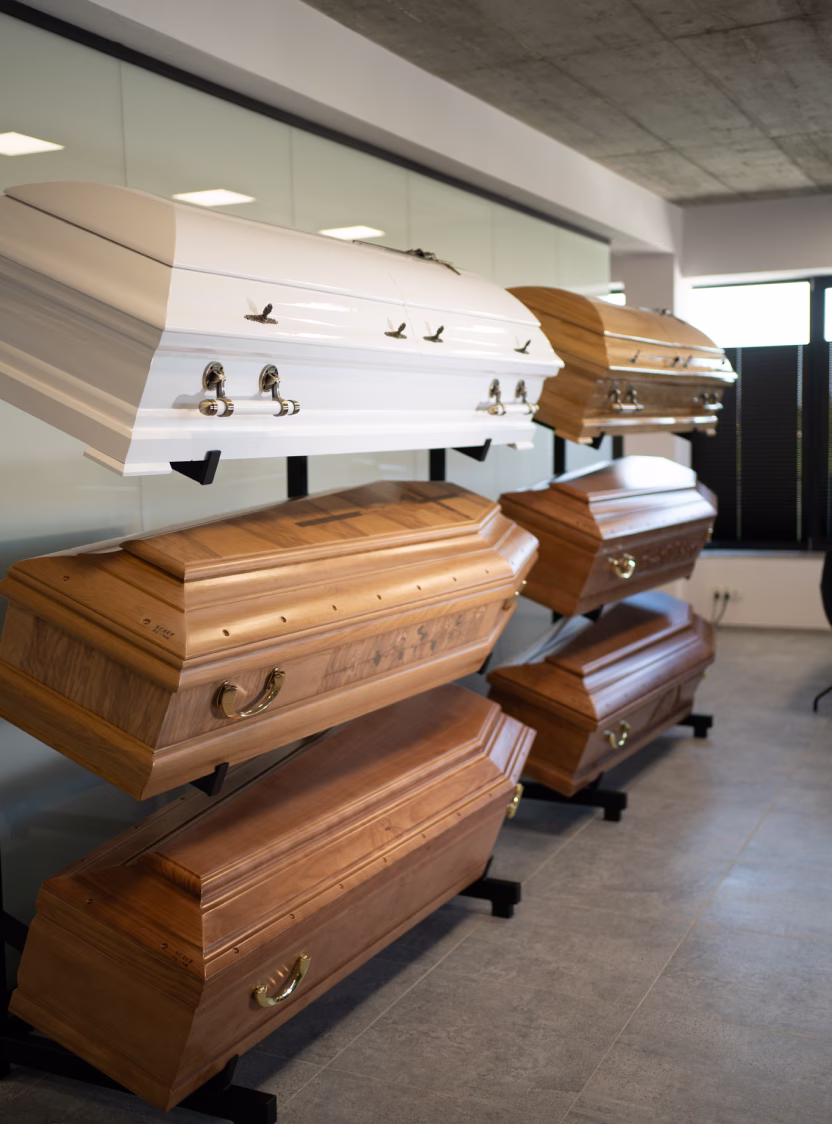 Six caskets in different wood finishes and one white on display stands in modern showroom.