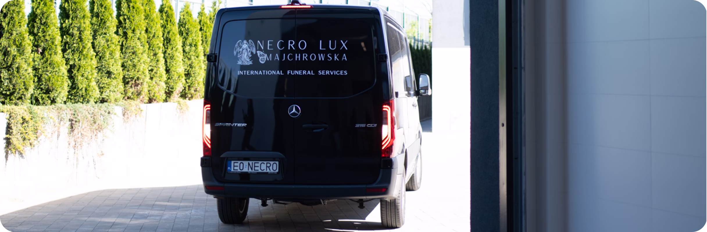 transfer in Necro Lux company
