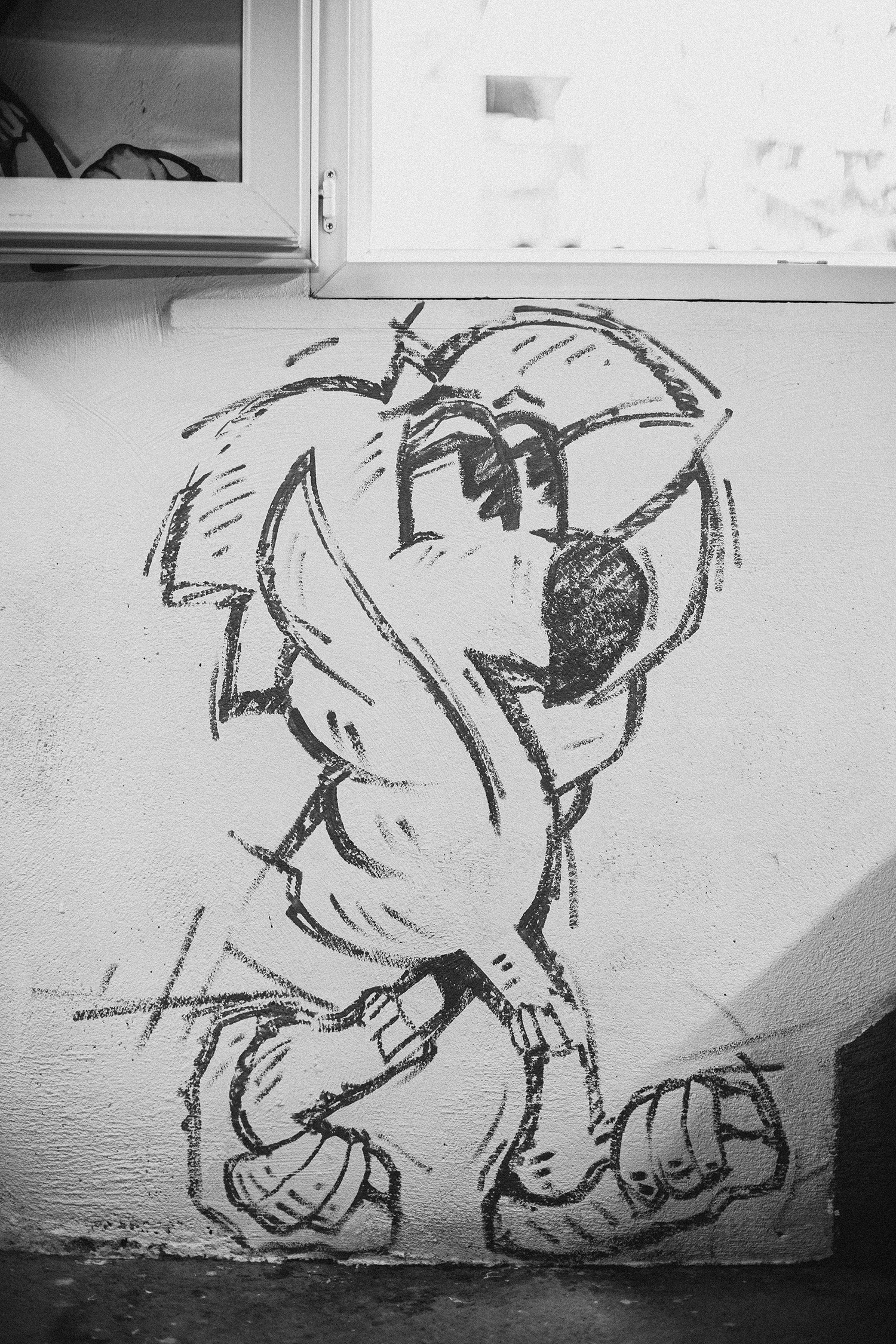Croquis de Roger le Flamant Rose dessiné au fusain sur un mur blanc, sous une fenêtre