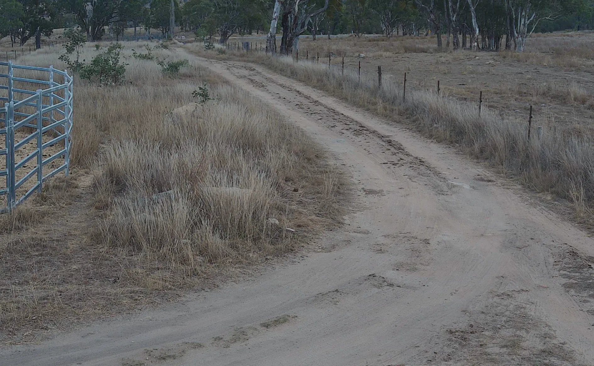 Dirt road curving through dry grassland with sparse trees and a metal gate on the left.
