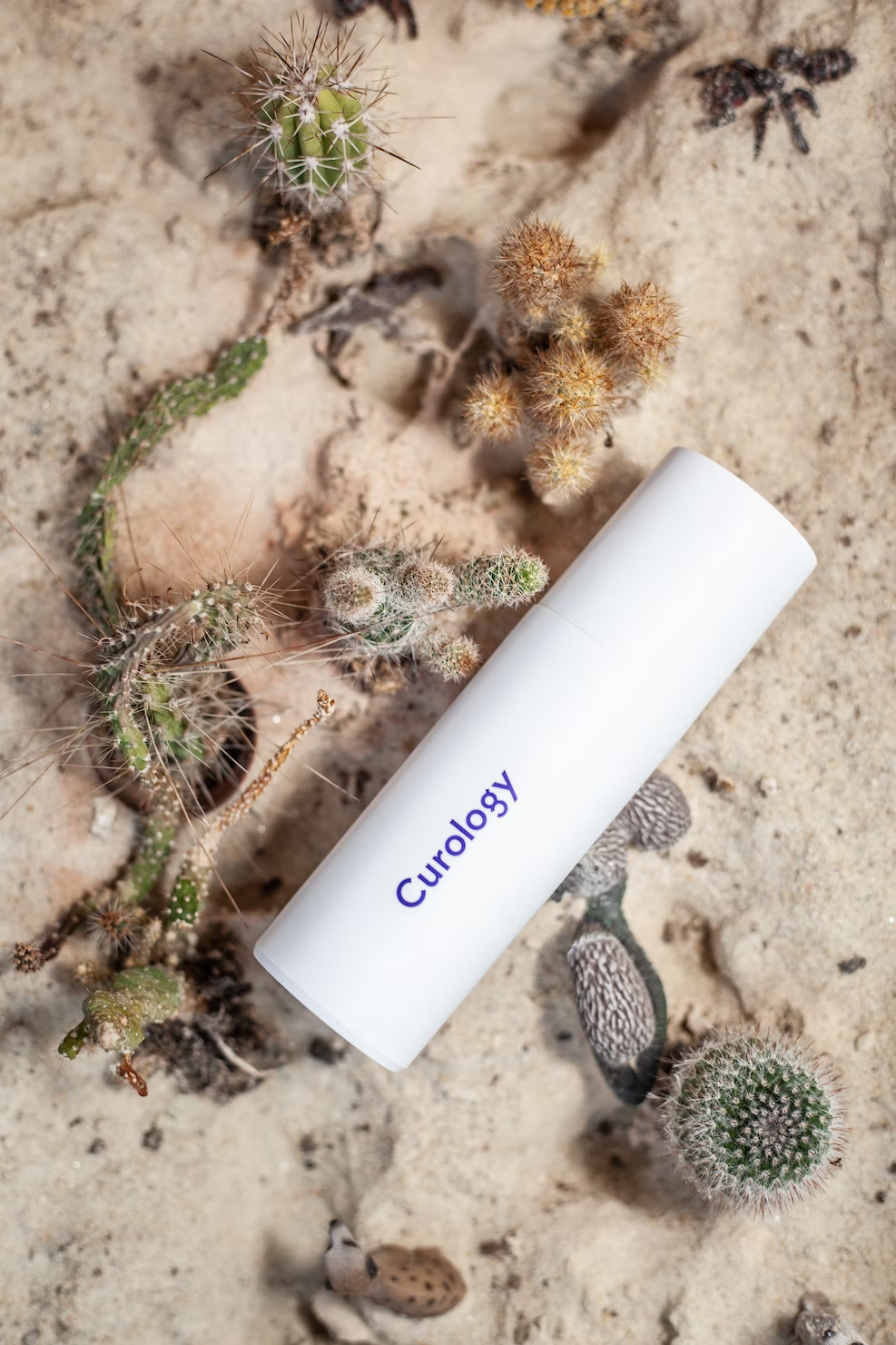 Beach Curology
