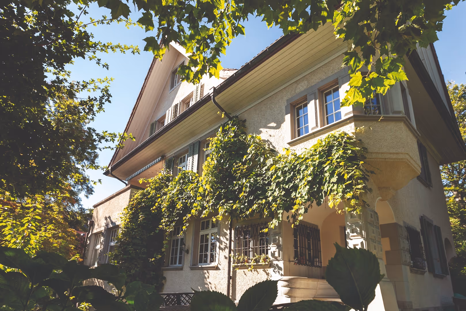 Hausfassade mit Rankpflanzen unter blauem Himmel umgeben von grünen Bäumen und Blättern.