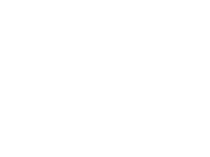 forbisnet Logo