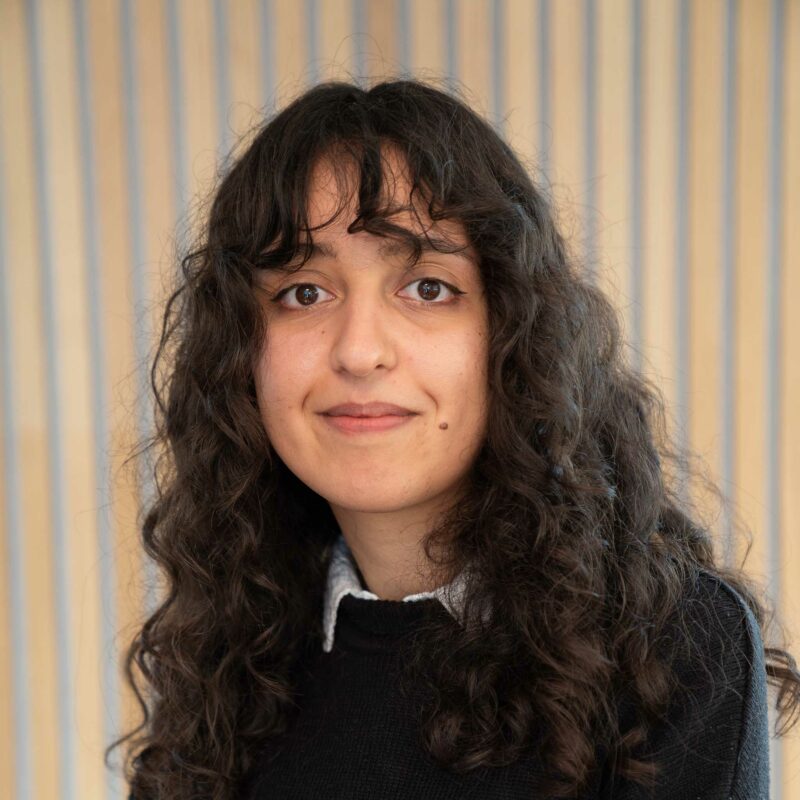 Yasmine Ibrahimi
