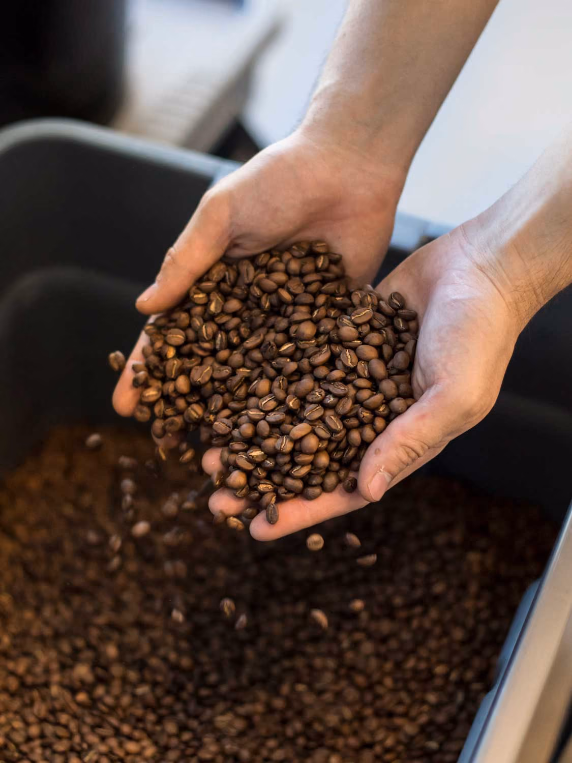 Inside Ozone Coffee Roasters