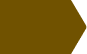 Dark brown right-pointing arrow on a white background.