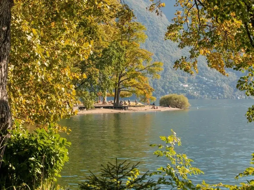 Riva alberata attorno al lago calmo con persone che camminano su una piccola spiaggia in collina.
