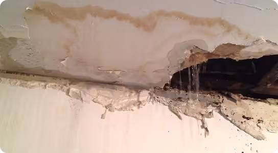 Leaks & Water Intrusion