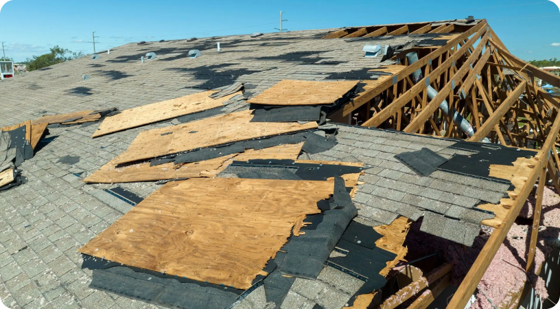 Exterior Damage