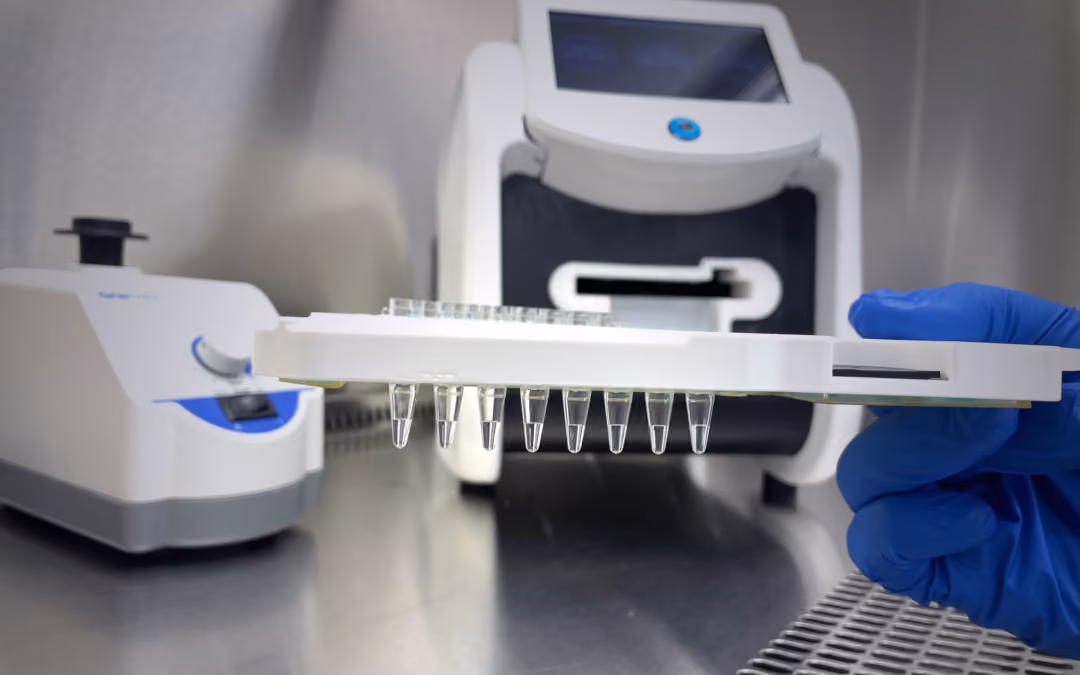 Gloved hand holding a white tray with multiple clear microcentrifuge tubes in a lab setting.