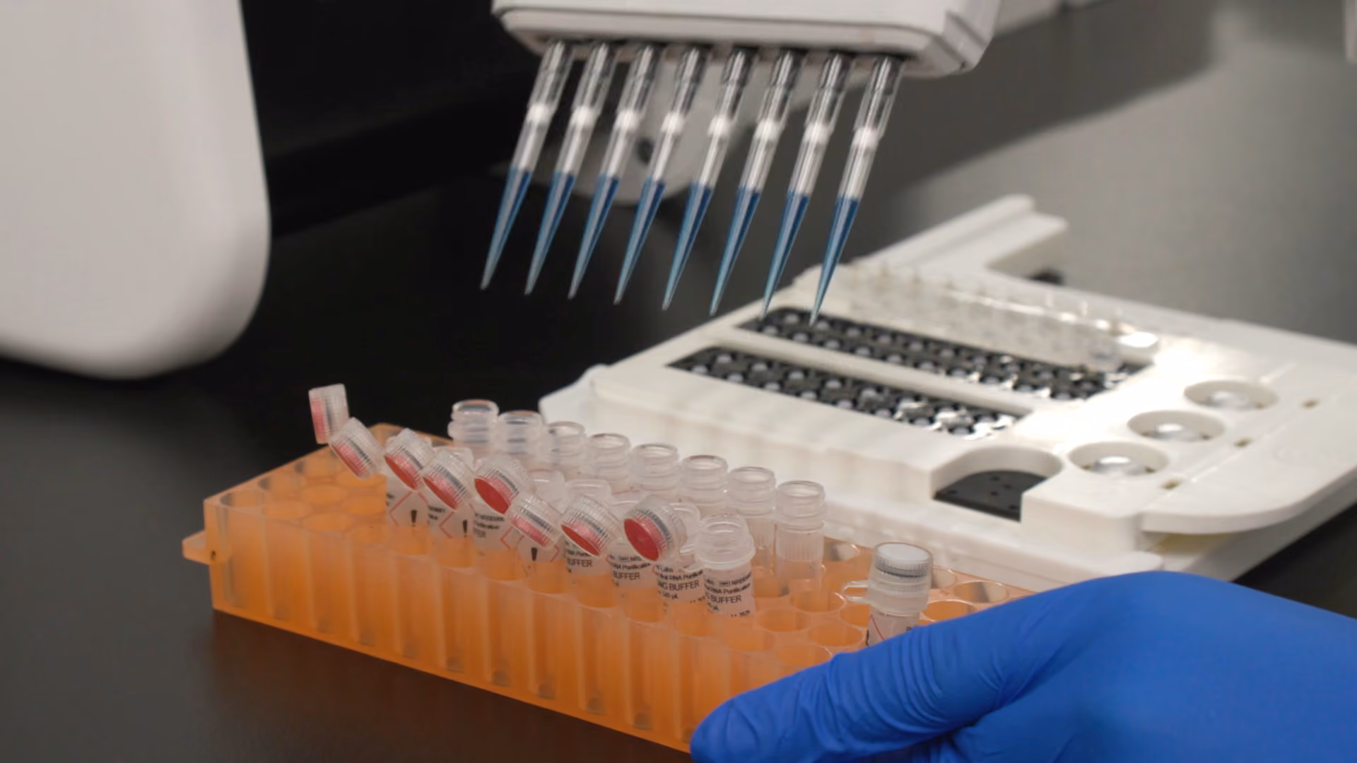 A scientist mixing loading cartridge.
