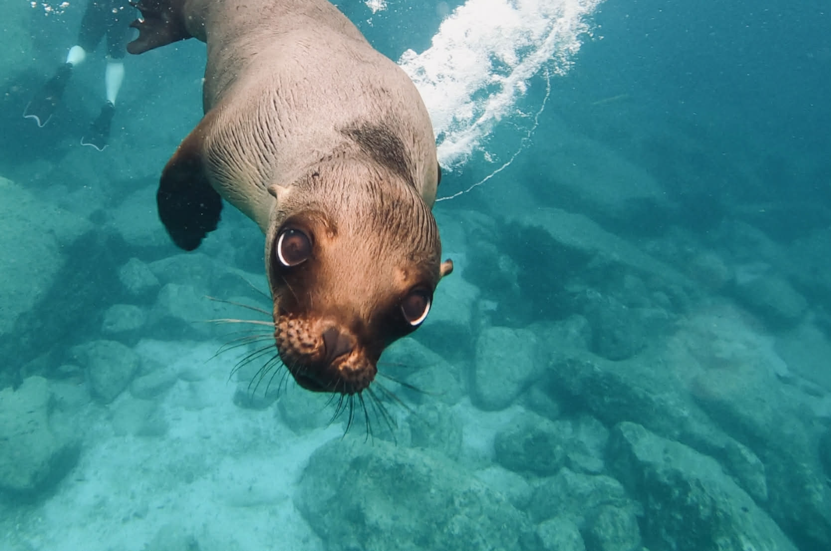 La Paz, Baja California Sur, Mexico