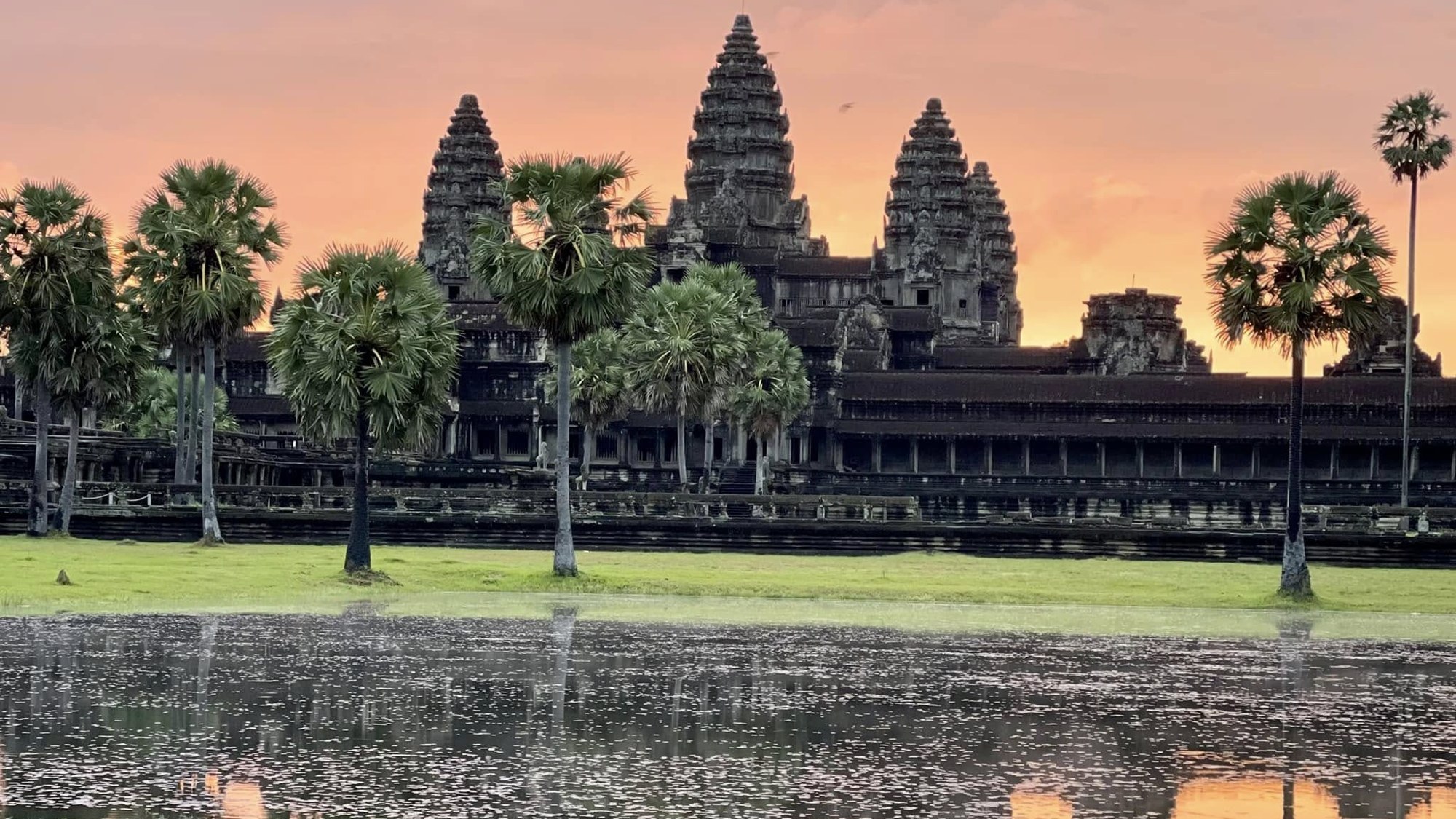 Angkor Wat's towers behind sugar palms at sunrise, the temple reflected in a rain-filled pool under an orange sky.