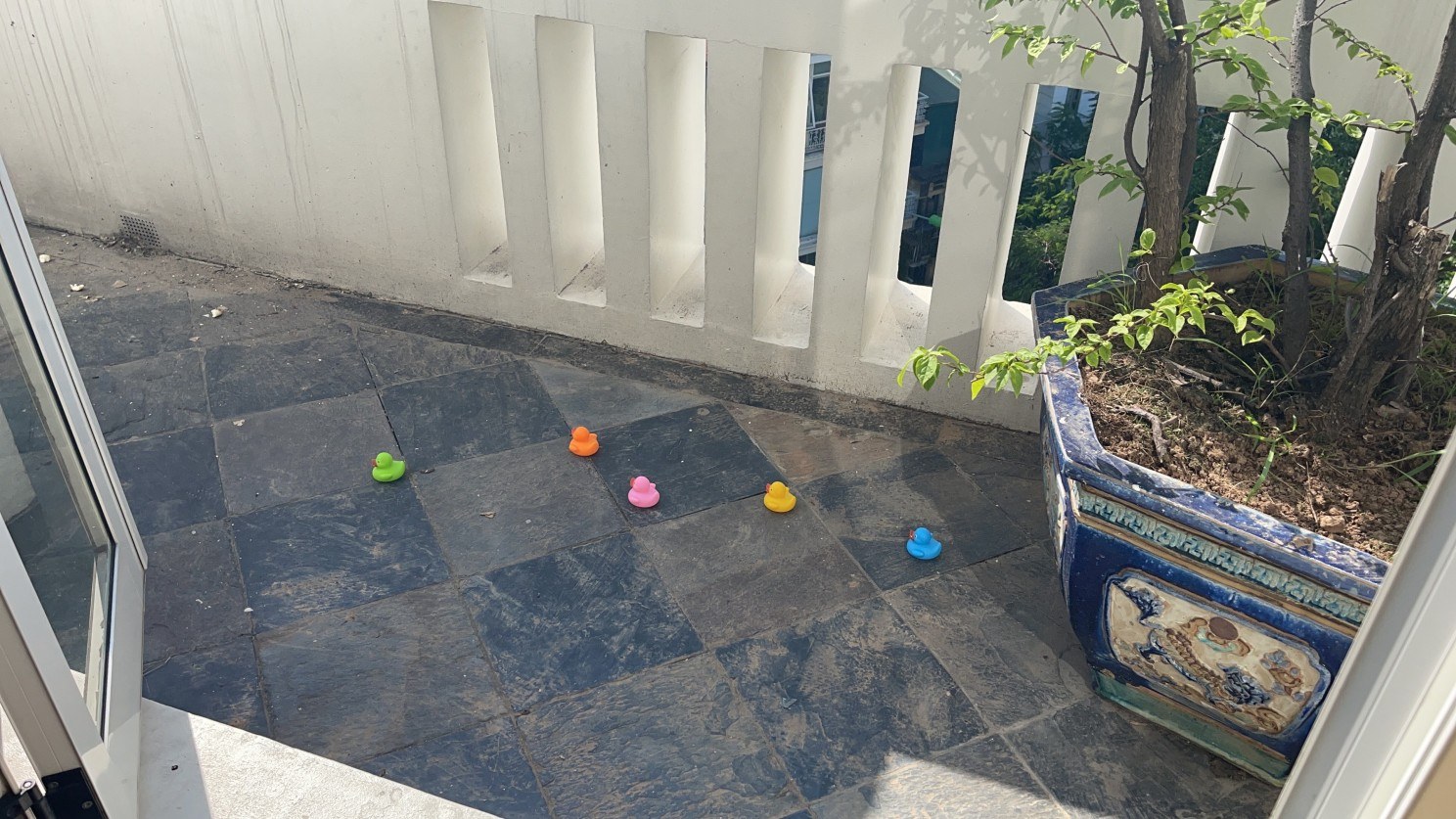 Five rubber ducks, green, orange, pink, yellow and blue, lined up on a hotel balcony's tiled floor.