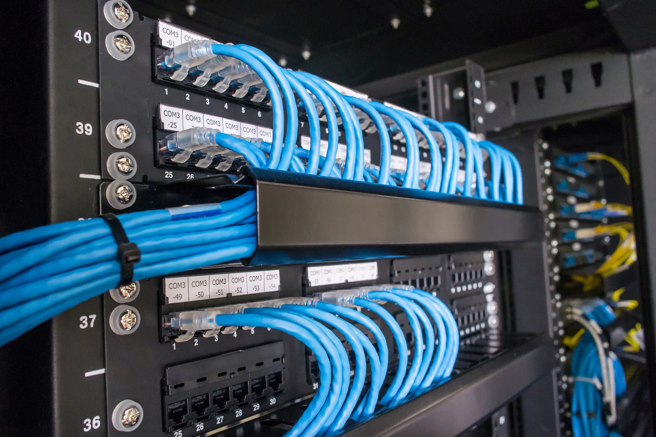 Close-up of a server rack patch panel with labeled Cat cables neatly routed through a cable management tray