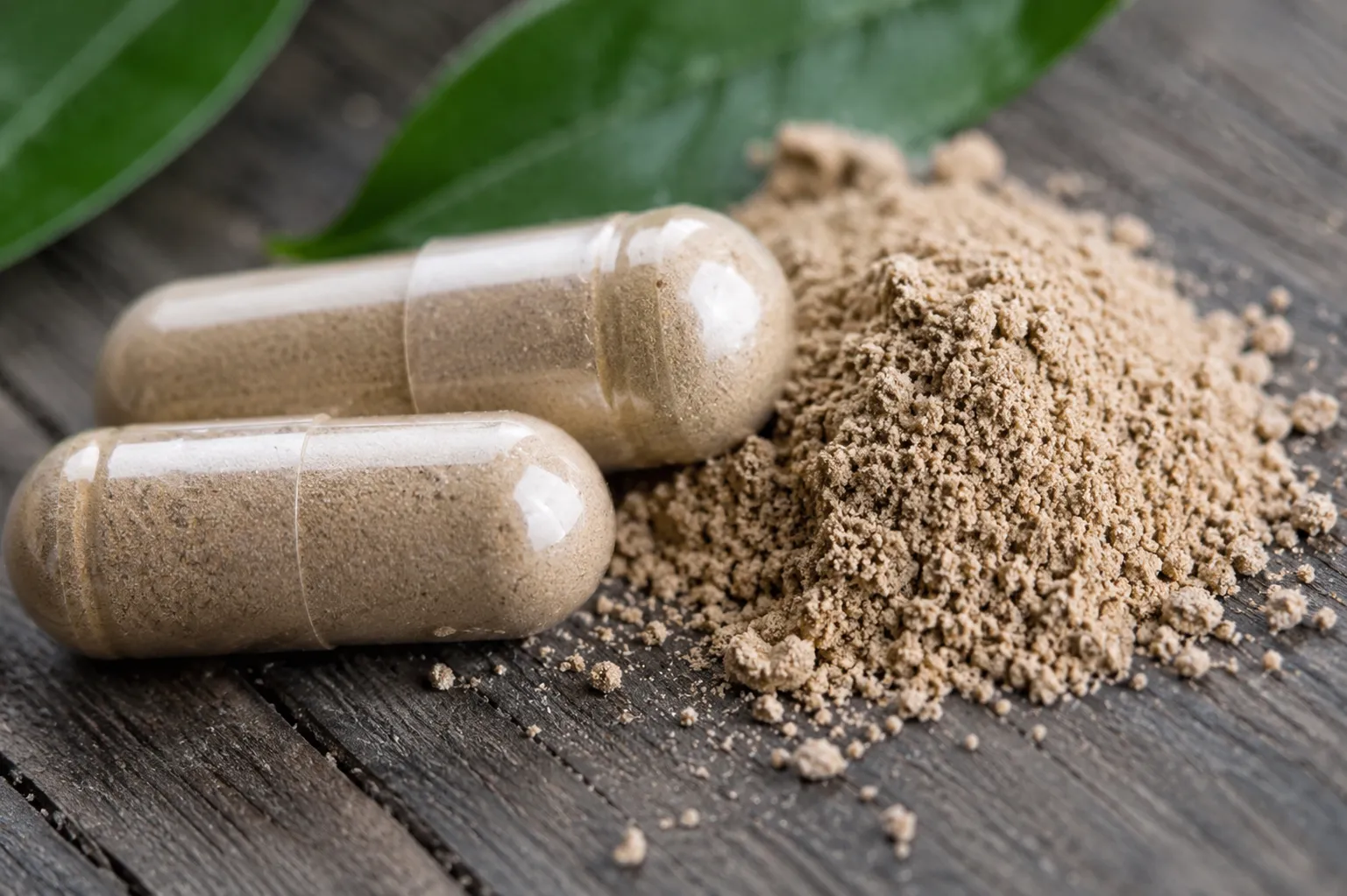 Capsules and ground powder beside green leaves