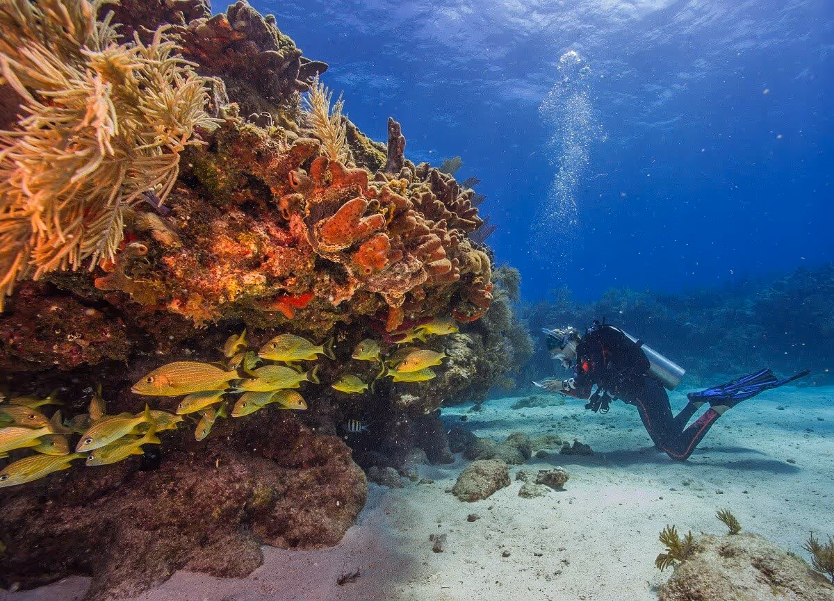 Biscayne National Park