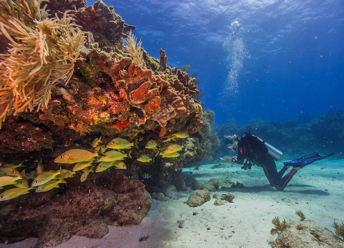 Biscayne National Park