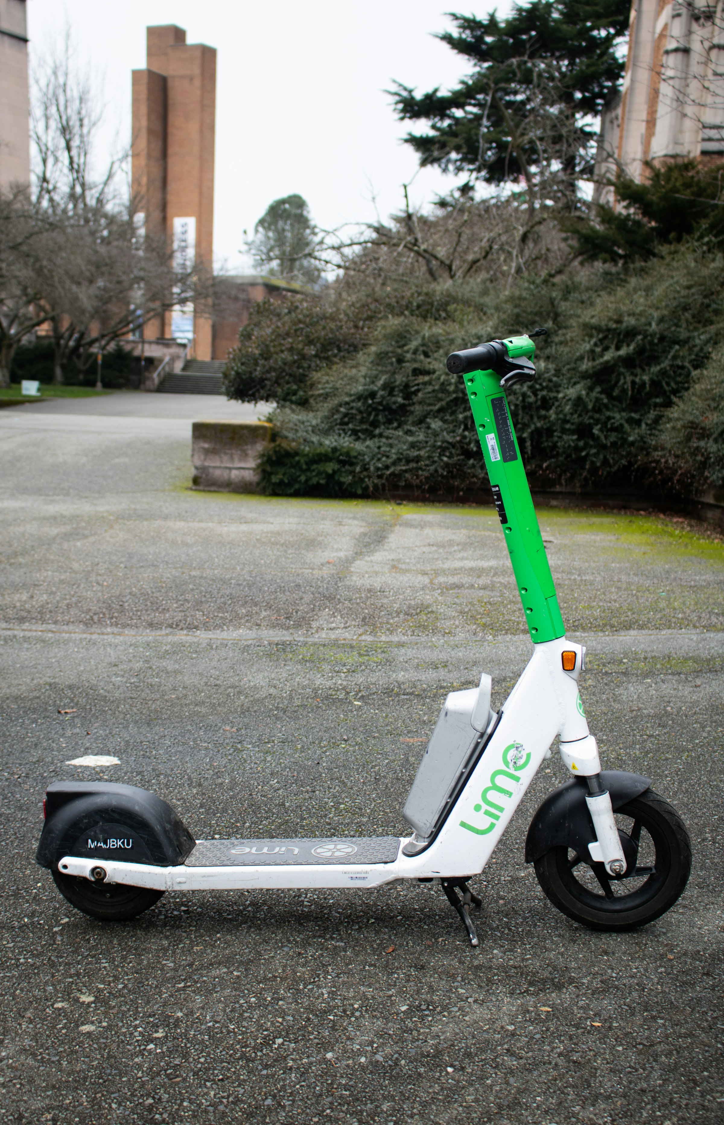 A green and white Lime electric scooter parked on a walkway in a Pacific Northwest park, with the Lime wordmark visible