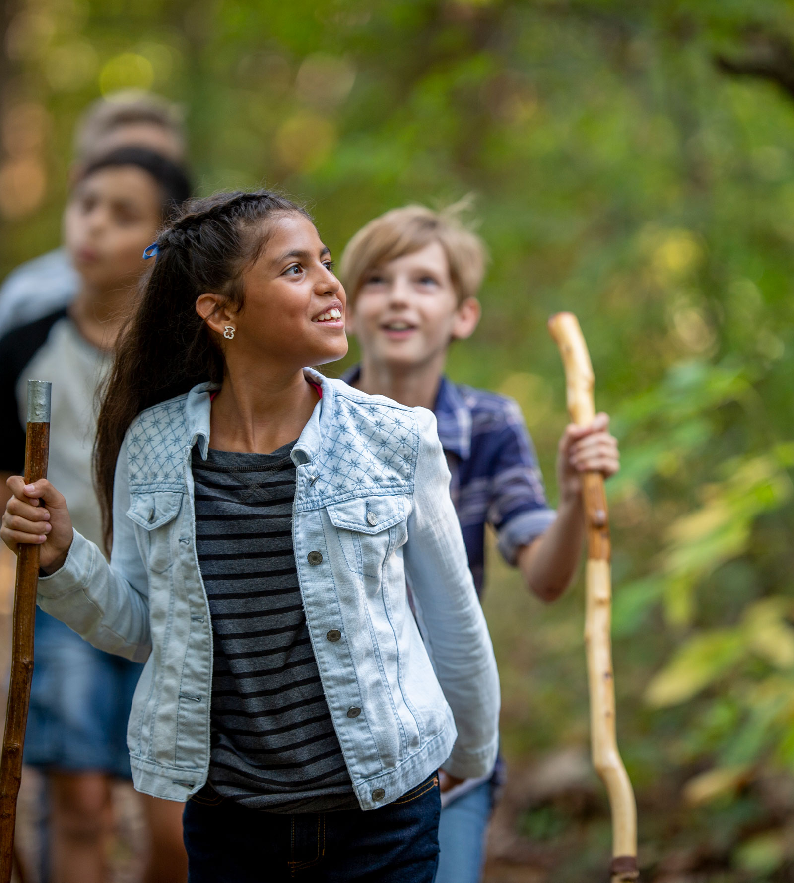 Children hiking a wooded trail with walking sticks, looking up into the tree canopy.